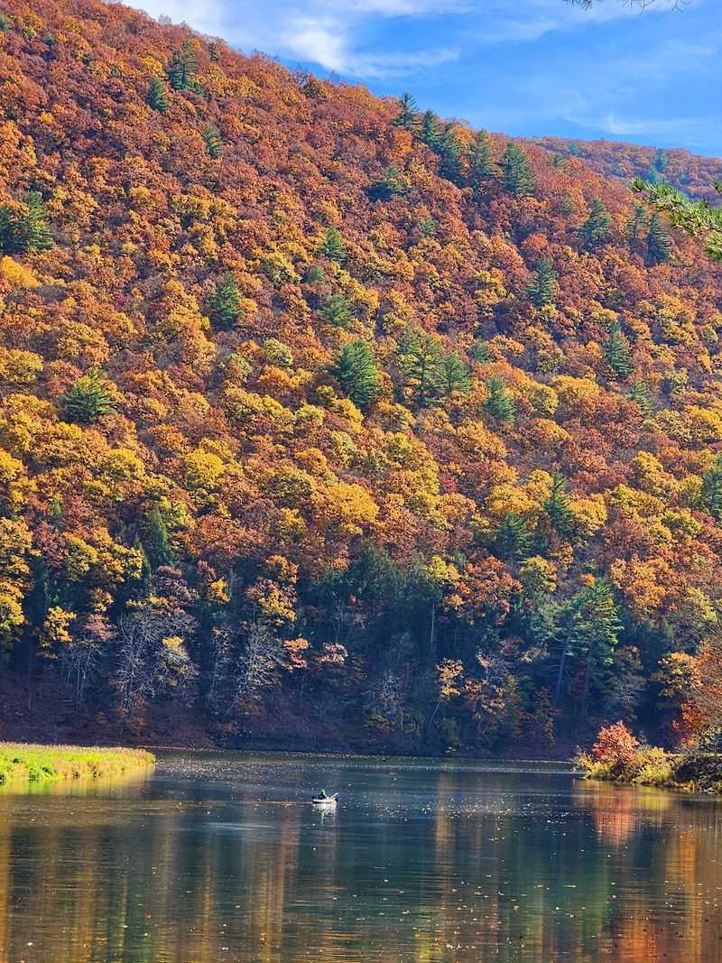 Every Season Brings a Different Park to Life Every Season Brings a Different Park to Life