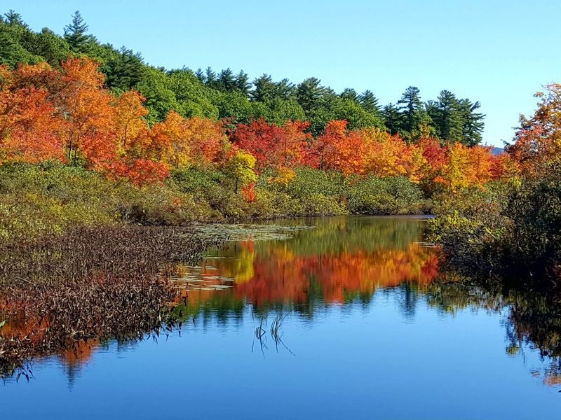 Fall Color, Winter Quiet, and the Off-Season Appeal Fall Color, Winter Quiet, and the Off-Season Appeal