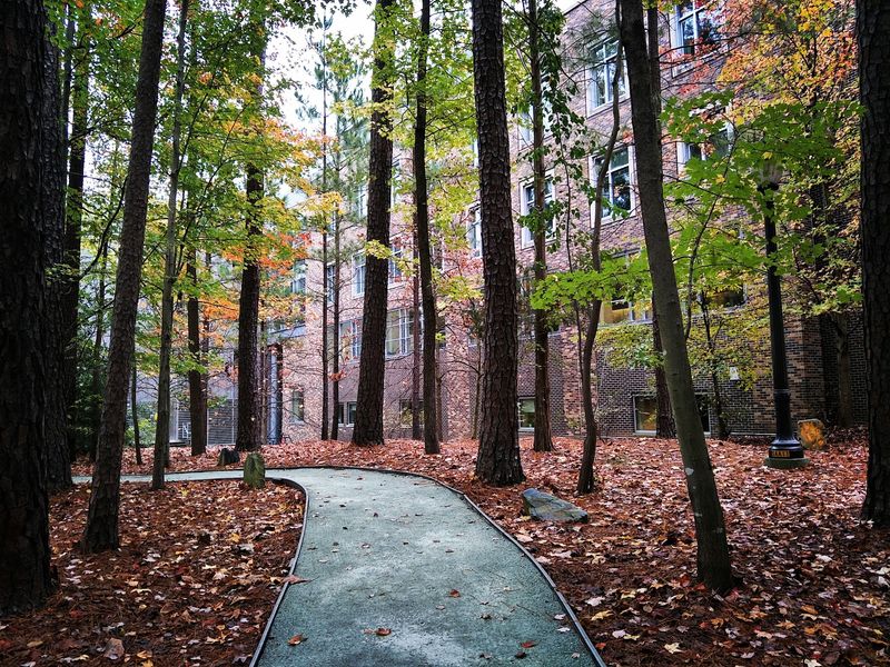 Fall Color and Room to Roam Fall Color and Room to Roam