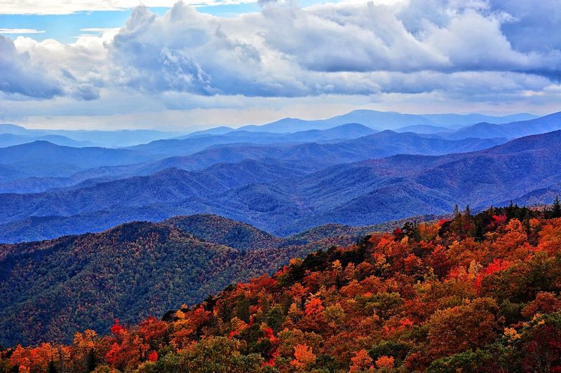 Fall Colors That Draw the Crowds