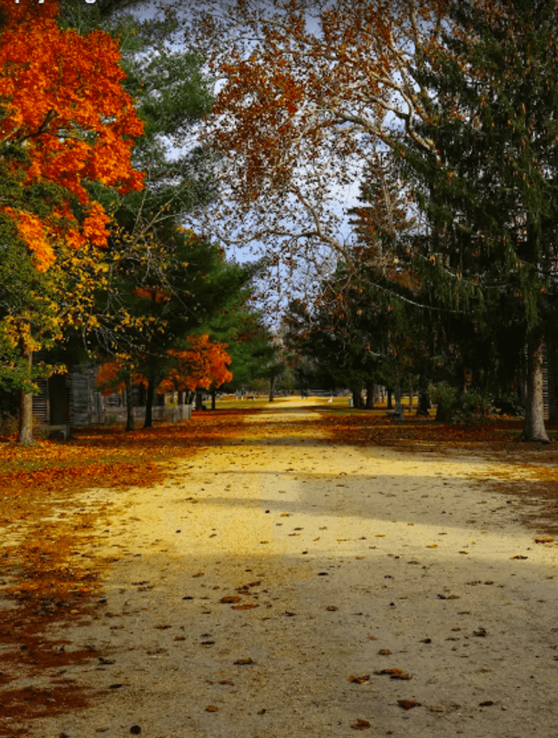 Fall Events With A Village-Wide Buzz
