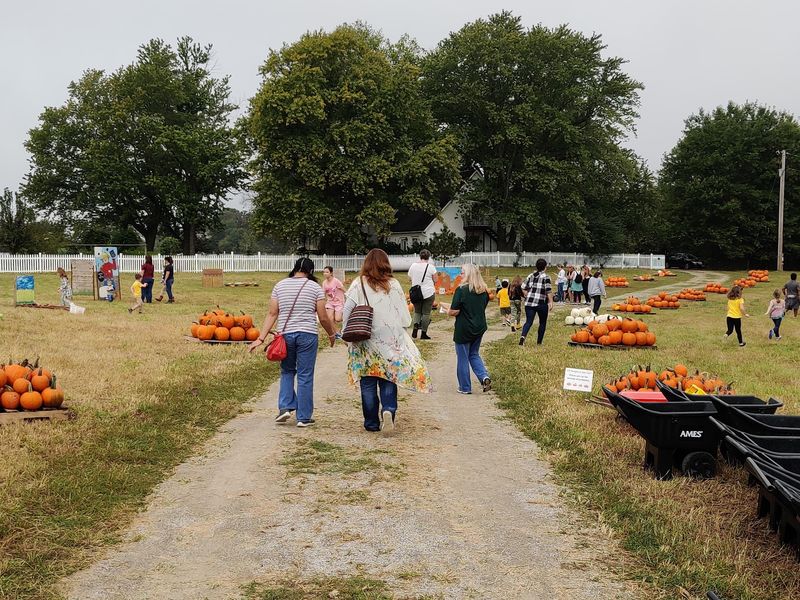 Fall Festivities, the Pumpkin Patch, and Hayrides Fall Festivities, the Pumpkin Patch, and Hayrides