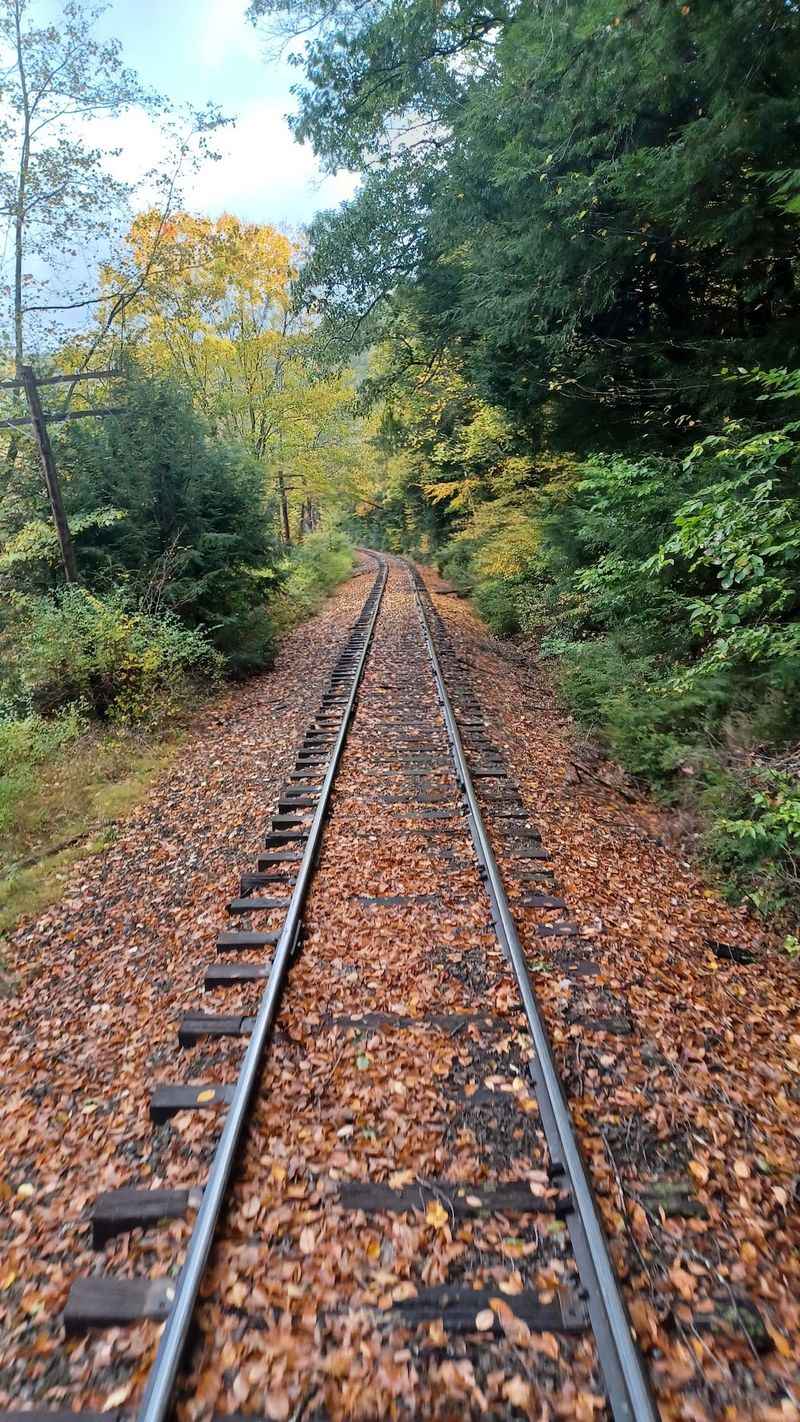 Fall Foliage Season: When the Valley Puts on Its Best Show Fall Foliage Season: When the Valley Puts on Its Best Show
