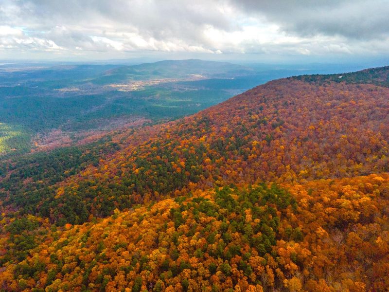 Fall Foliage Season and Why Timing Changes Everything Fall Foliage Season and Why Timing Changes Everything
