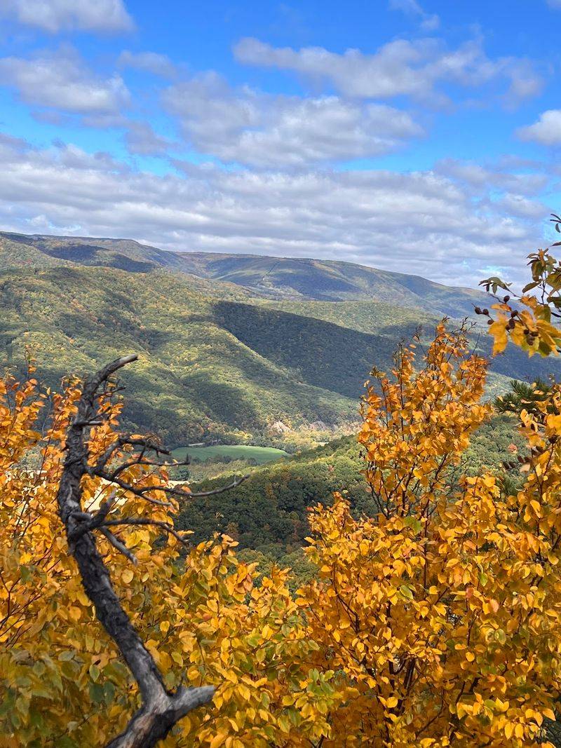 Fall Foliage and the Best Seasons to Visit Fall Foliage and the Best Seasons to Visit