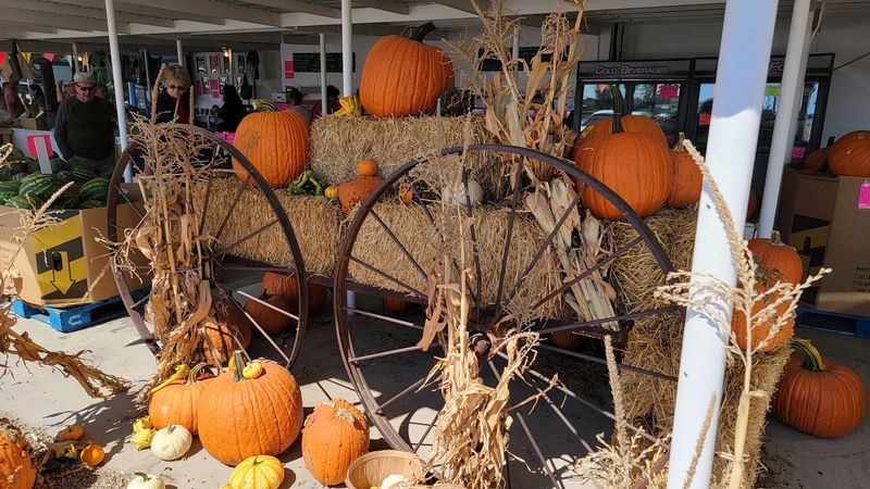 Fall Pumpkins And Ornamental Finds