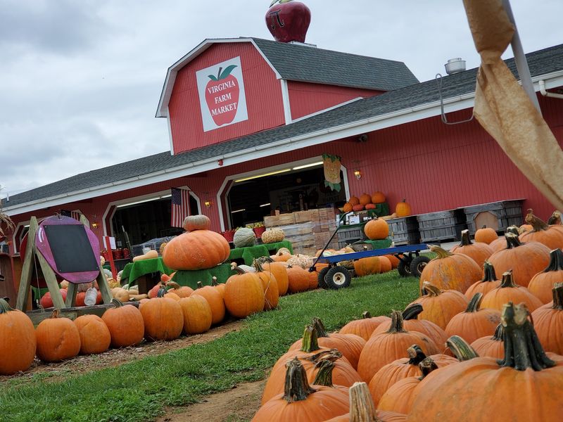 Fall Turns The Whole Place Festive Fall Turns The Whole Place Festive