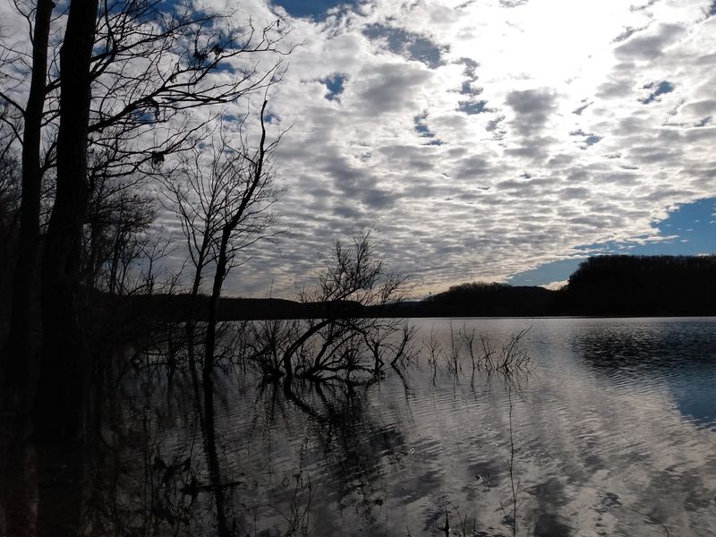 Fall at Tenkiller and Why the Shoulder Season Wins Fall at Tenkiller and Why the Shoulder Season Wins
