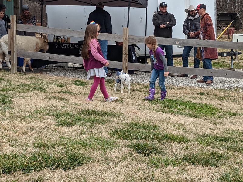 Family Farm Days and the Baby Animals