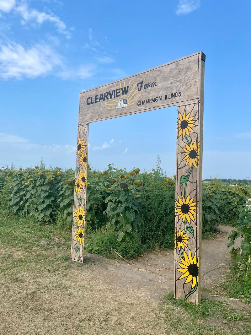 Family Trips and the Case for a Summer Tradition