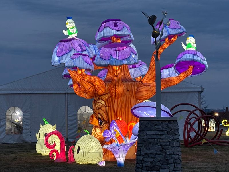 Festivals That Light Up the Field Festivals That Light Up the Field