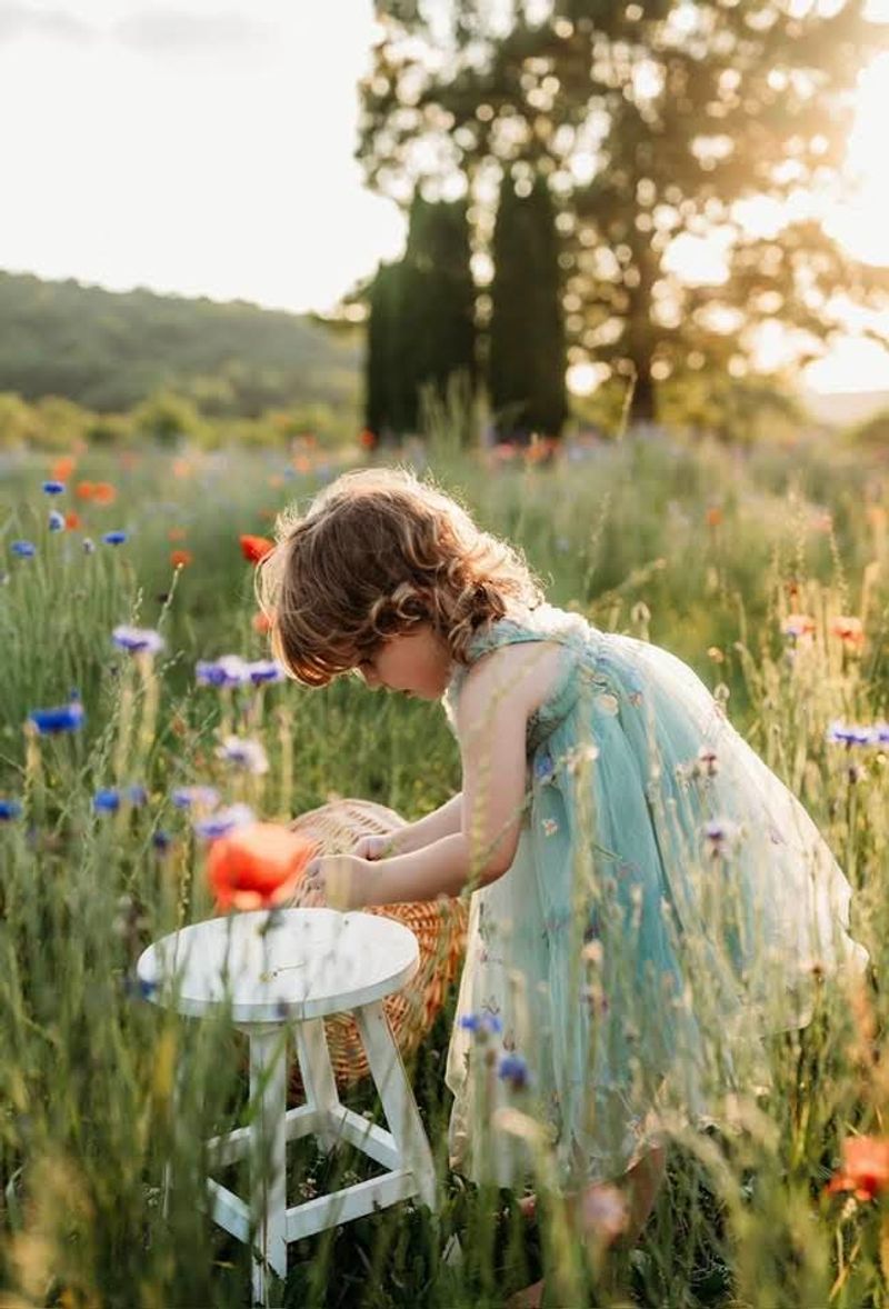 Fields of Wildflowers You Cut Yourself Fields of Wildflowers You Cut Yourself
