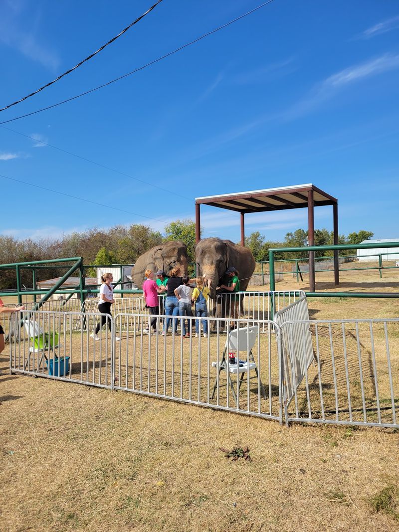 Final Thoughts: A Southern Oklahoma Road Trip Stop That Earns Its Place on the Map Final Thoughts: A Southern Oklahoma Road Trip Stop That Earns Its Place on the Map