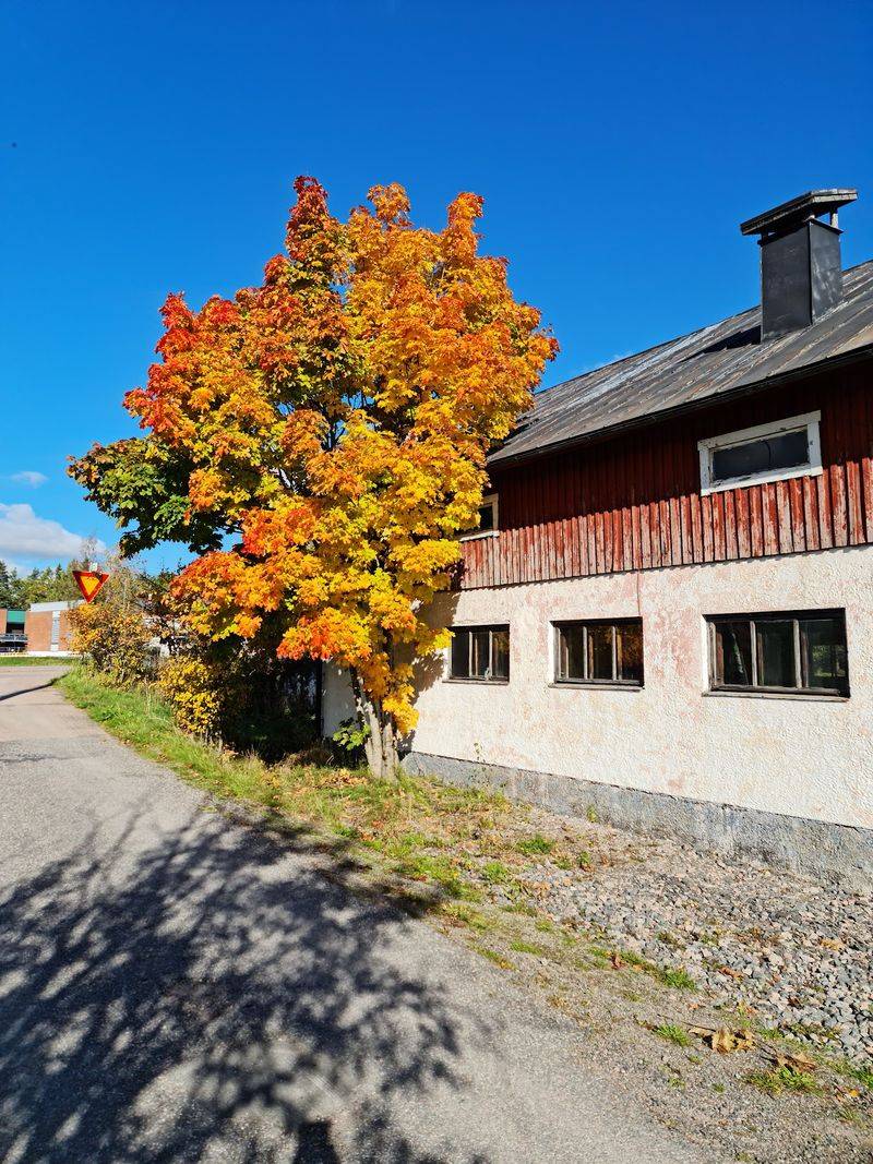 Finland Finland