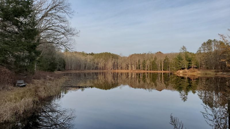 Fishing, Biking, Picnics, And A Cleared Field Fishing, Biking, Picnics, And A Cleared Field