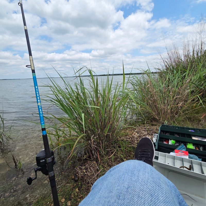 Fishing From Dam to River