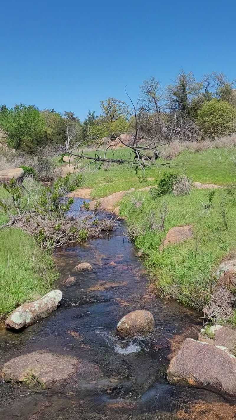 Fishing, Picnicking, and Slowing Down on Purpose Fishing, Picnicking, and Slowing Down on Purpose