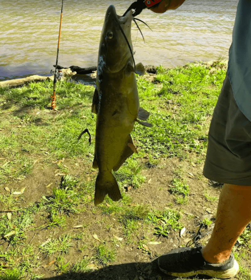 Fishing Straight From The Shore