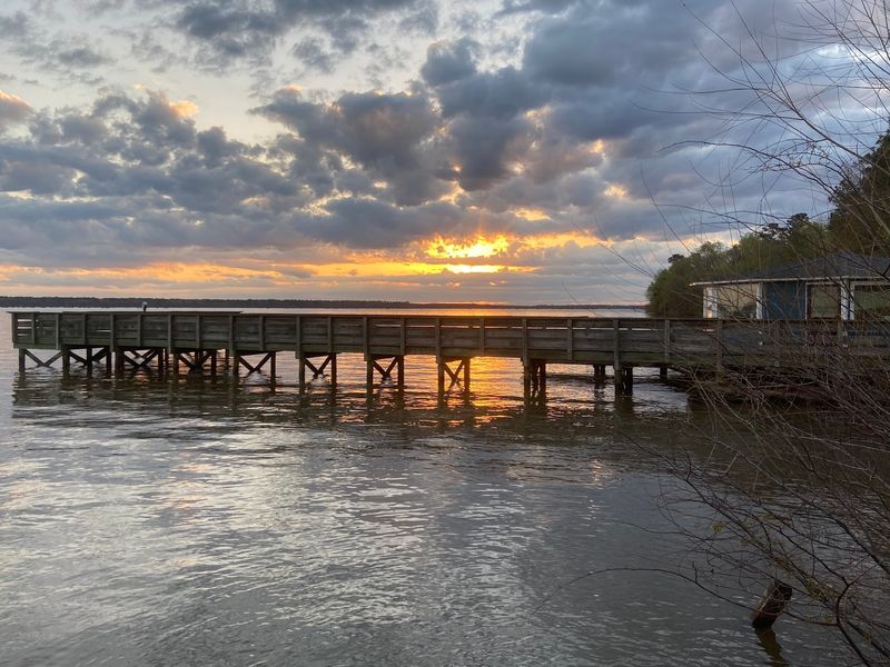 Fishing and the Beloved Pier Fishing and the Beloved Pier