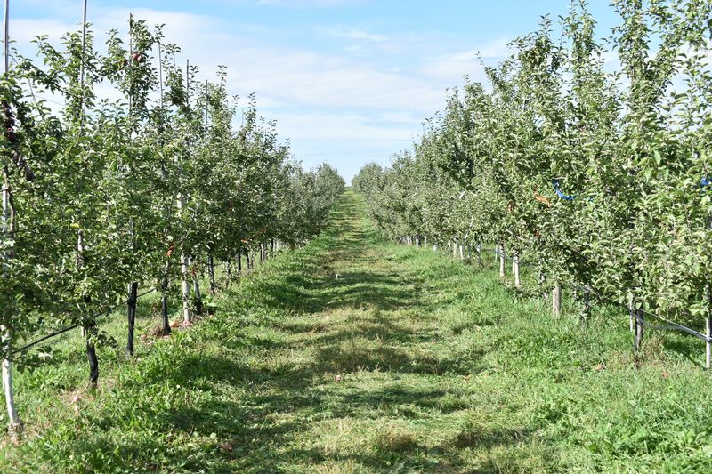 Fishkill Farms, Hopewell Junction, NY Fishkill Farms, Hopewell Junction, NY
