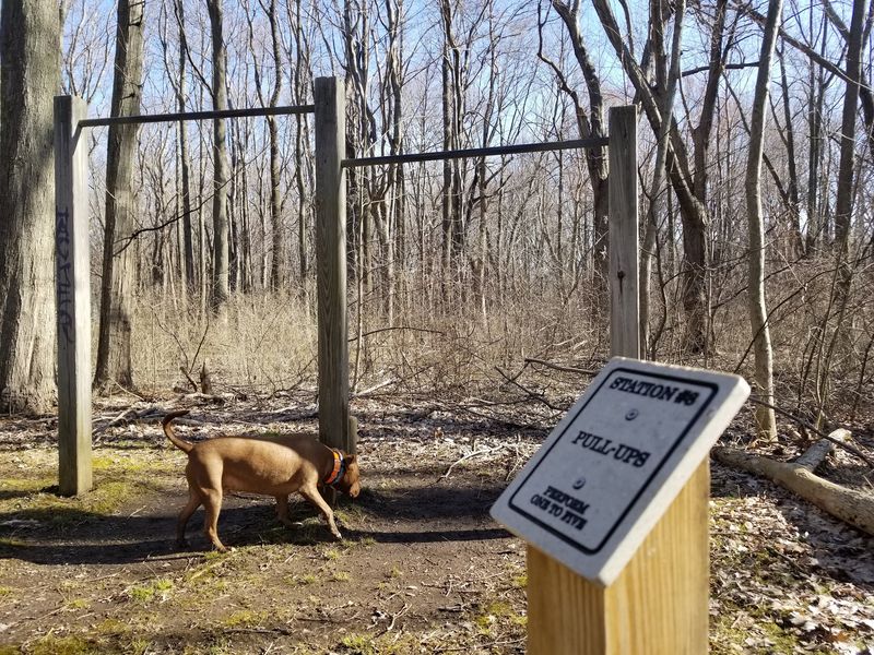 Fitness Trail: An Outdoor Gym Built by Community Spirit Fitness Trail: An Outdoor Gym Built by Community Spirit