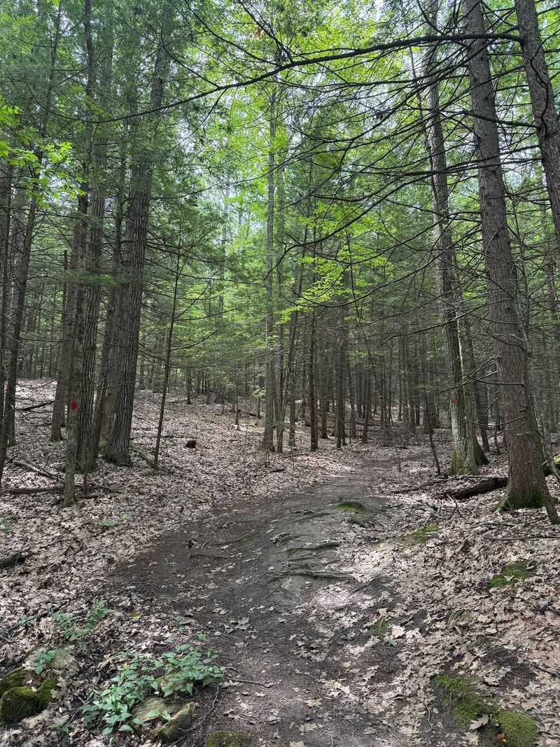 Five Miles of Trails That Reward Every Type of Hiker Five Miles of Trails That Reward Every Type of Hiker
