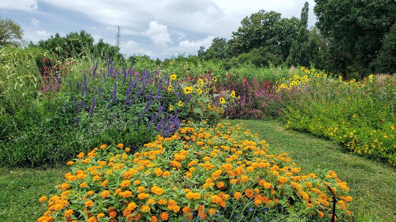 Flower Beds Worth a Slower Look Flower Beds Worth a Slower Look