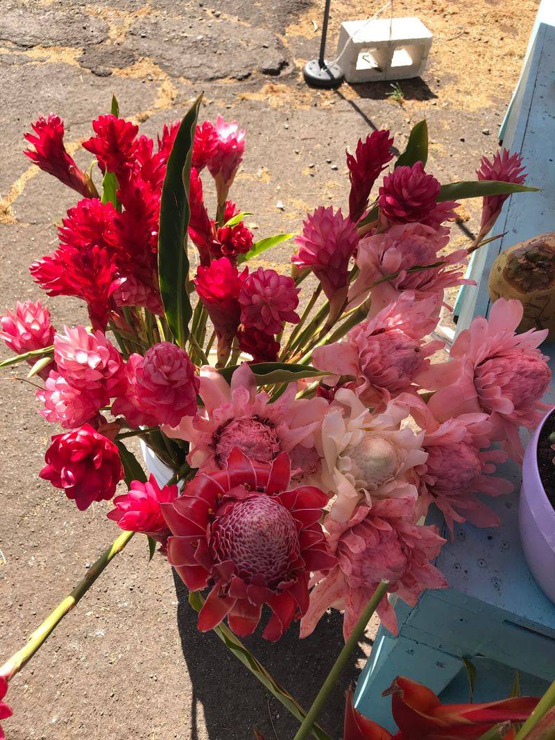Flowers That Brighten The Stop