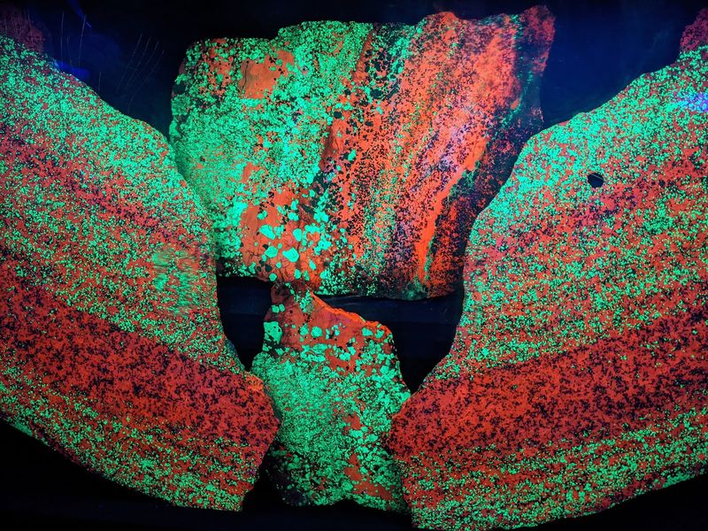Fluorescent Minerals In Full Color
