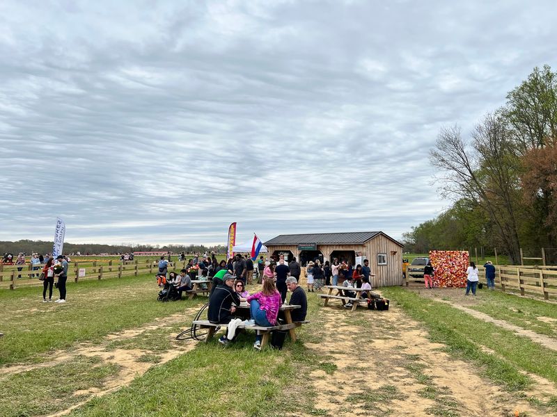 Food Trucks and Places to Pause Food Trucks and Places to Pause