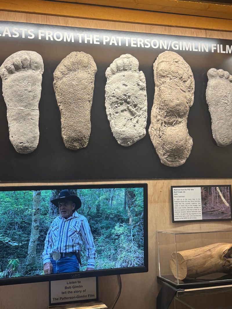 Footprint Casts and the Famous Patterson-Gimlin Film Footprint Casts and the Famous Patterson-Gimlin Film