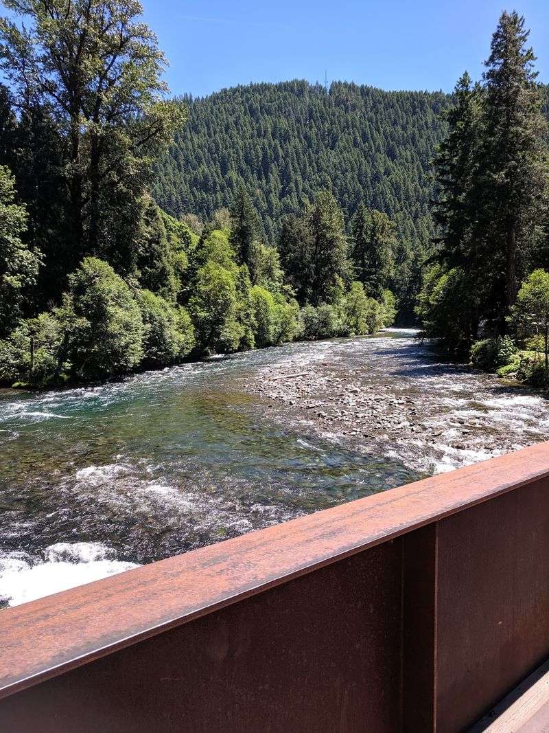 Forest, River, and Mountain Air in the Willamette National Forest Forest, River, and Mountain Air in the Willamette National Forest