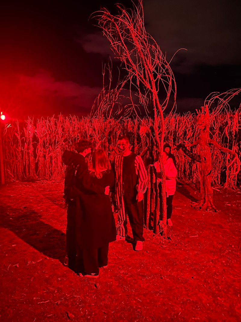Forty Acres of Corn Forty Acres of Corn