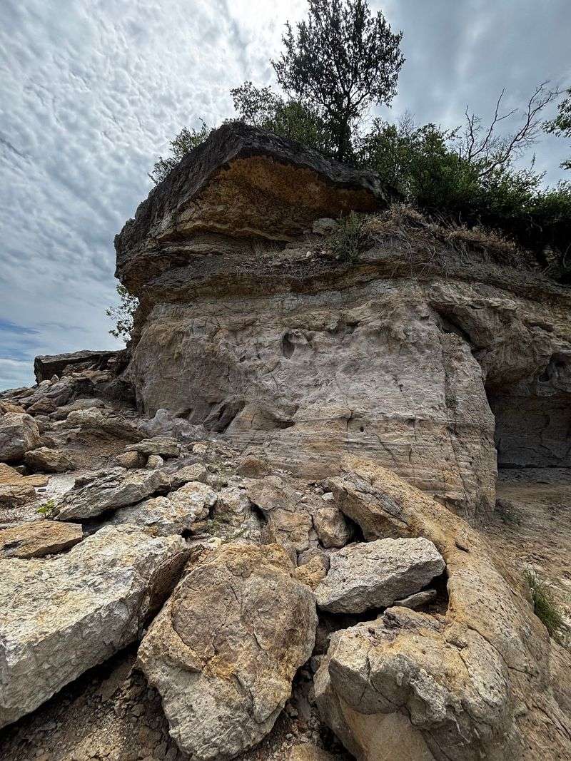 Fossils Hiding Beneath Your Feet Fossils Hiding Beneath Your Feet