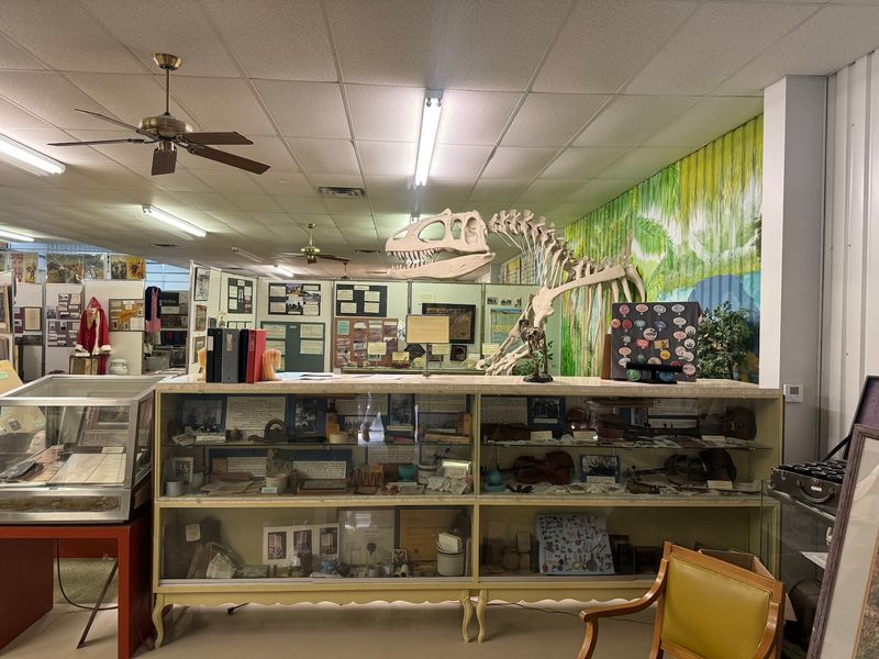 Fossils and Geological Finds