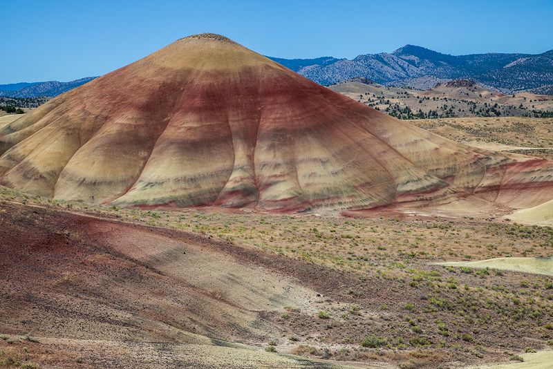 Fossils and Geology From a Vanished World