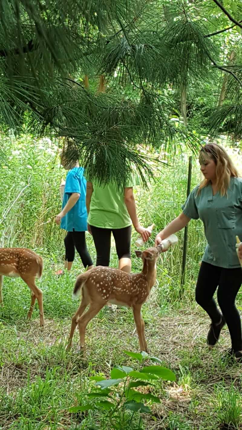 Four Decades of Saving Wild Lives