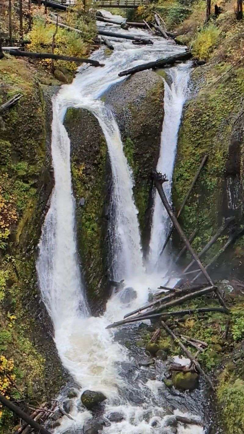Four Waterfalls Along One Creek Four Waterfalls Along One Creek