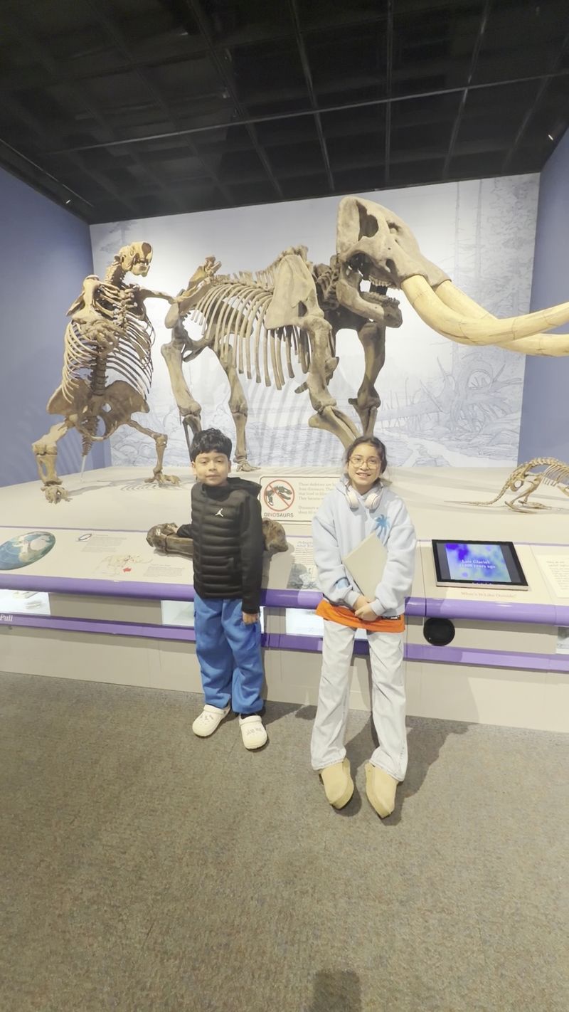 Free Admission and What That Really Means for Families Free Admission and What That Really Means for Families