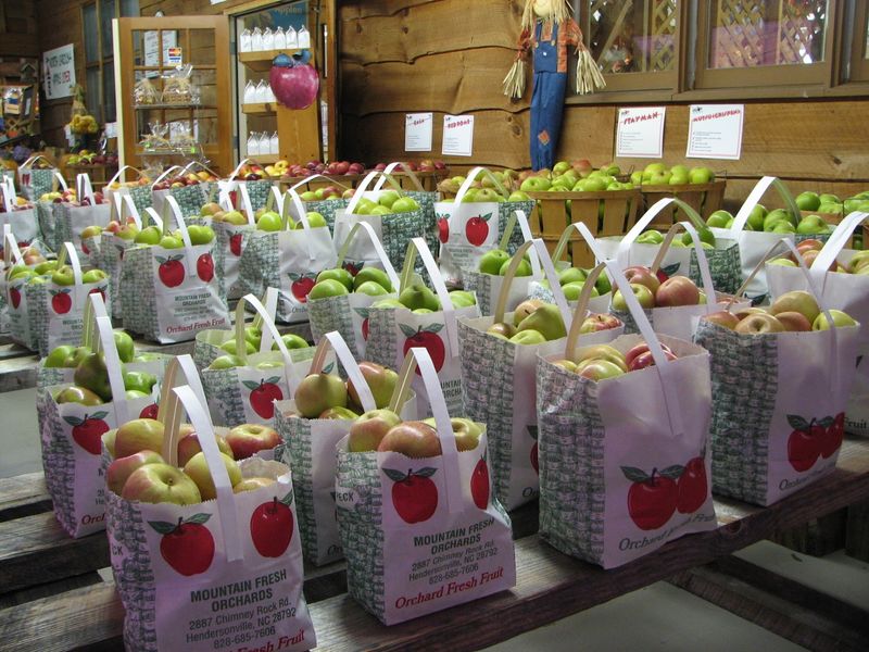 Fresh Apples You Can Sample by the Bushel Fresh Apples You Can Sample by the Bushel