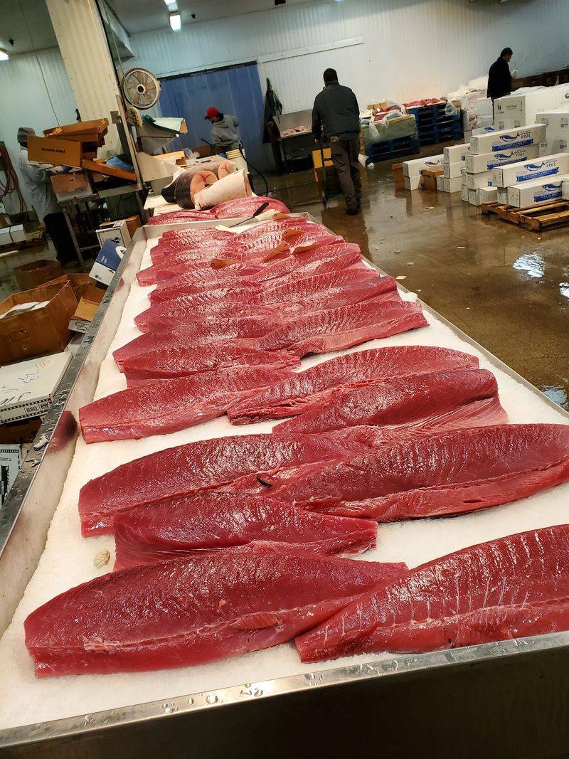 Fresh Fish With Gourmet Market Backup