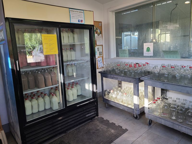 Fresh Milk That Ruins You for the Grocery Store Fresh Milk That Ruins You for the Grocery Store