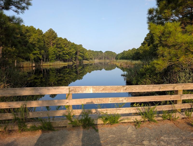 Fresh Pond Trailhead, Ocean View, Delaware