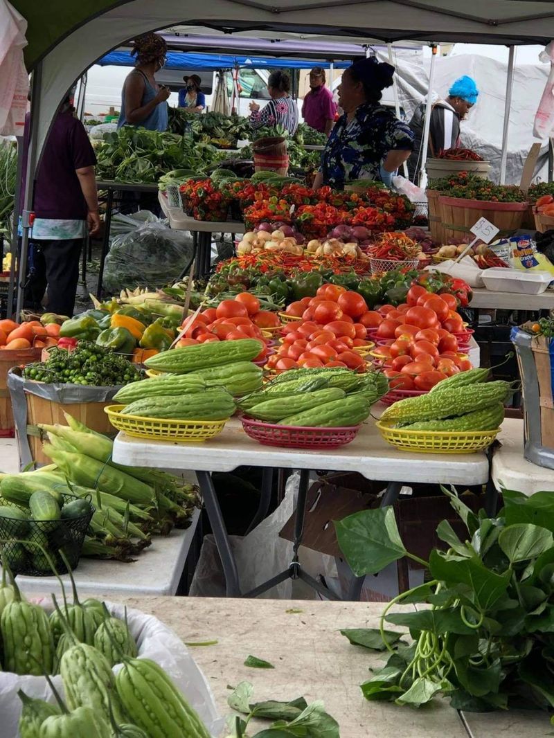 Fresh Produce Straight from Minnesota Farms