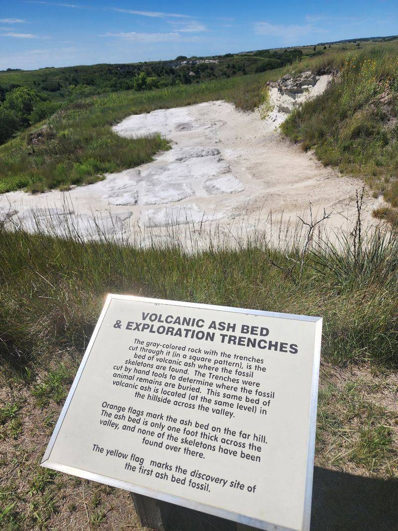 From Discovery to Landmark: The Park's Journey