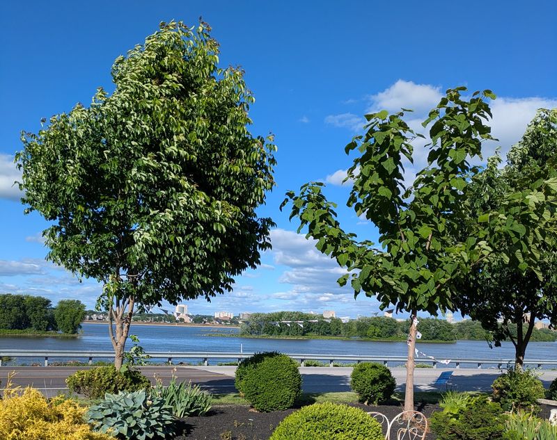 From Mexico City to the Banks of the Susquehanna From Mexico City to the Banks of the Susquehanna