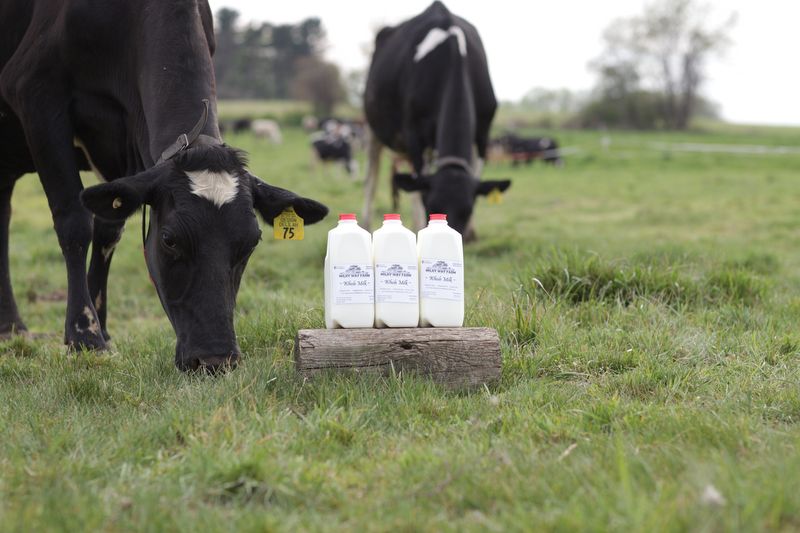 From Pasture to Cone: The Cow-to-Cone Process