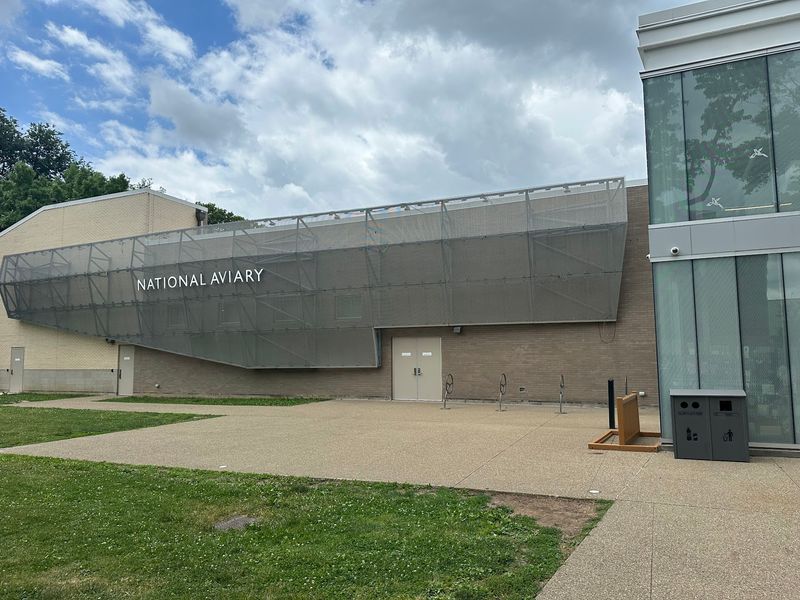 From Penitentiary Grounds to Bird Paradise: The Surprising Origin Story From Penitentiary Grounds to Bird Paradise: The Surprising Origin Story