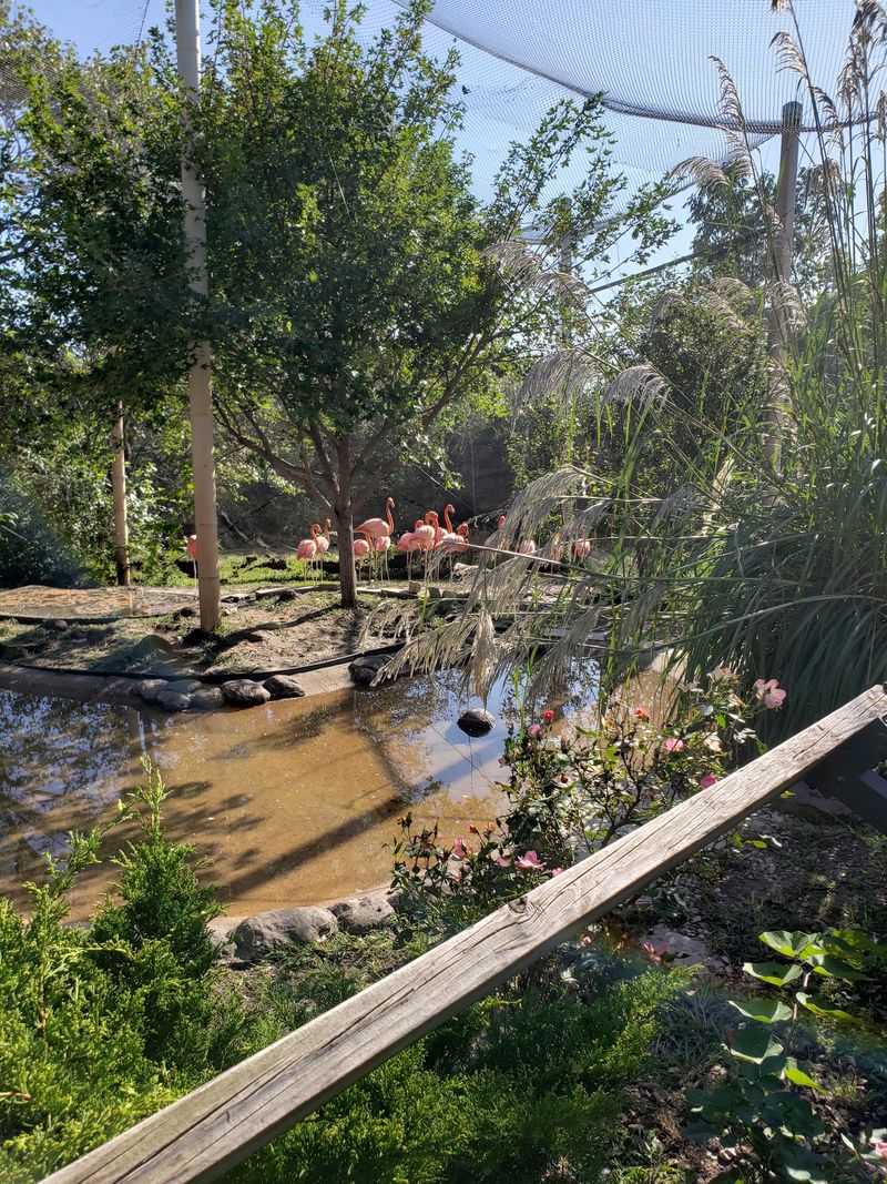 From Rocky Ground to a Roaring Legacy: The Zoo's Origin Story