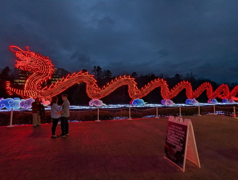 From the Year of the Dragon to the Snake From the Year of the Dragon to the Snake